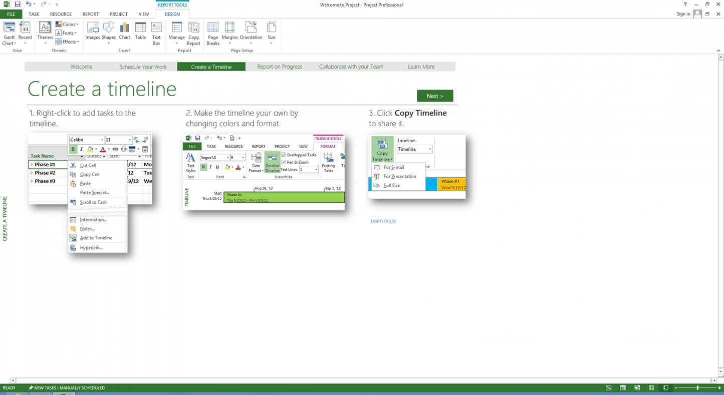 Microsoft Project 2013 Professional License