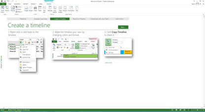 Microsoft Project 2013 Professional License