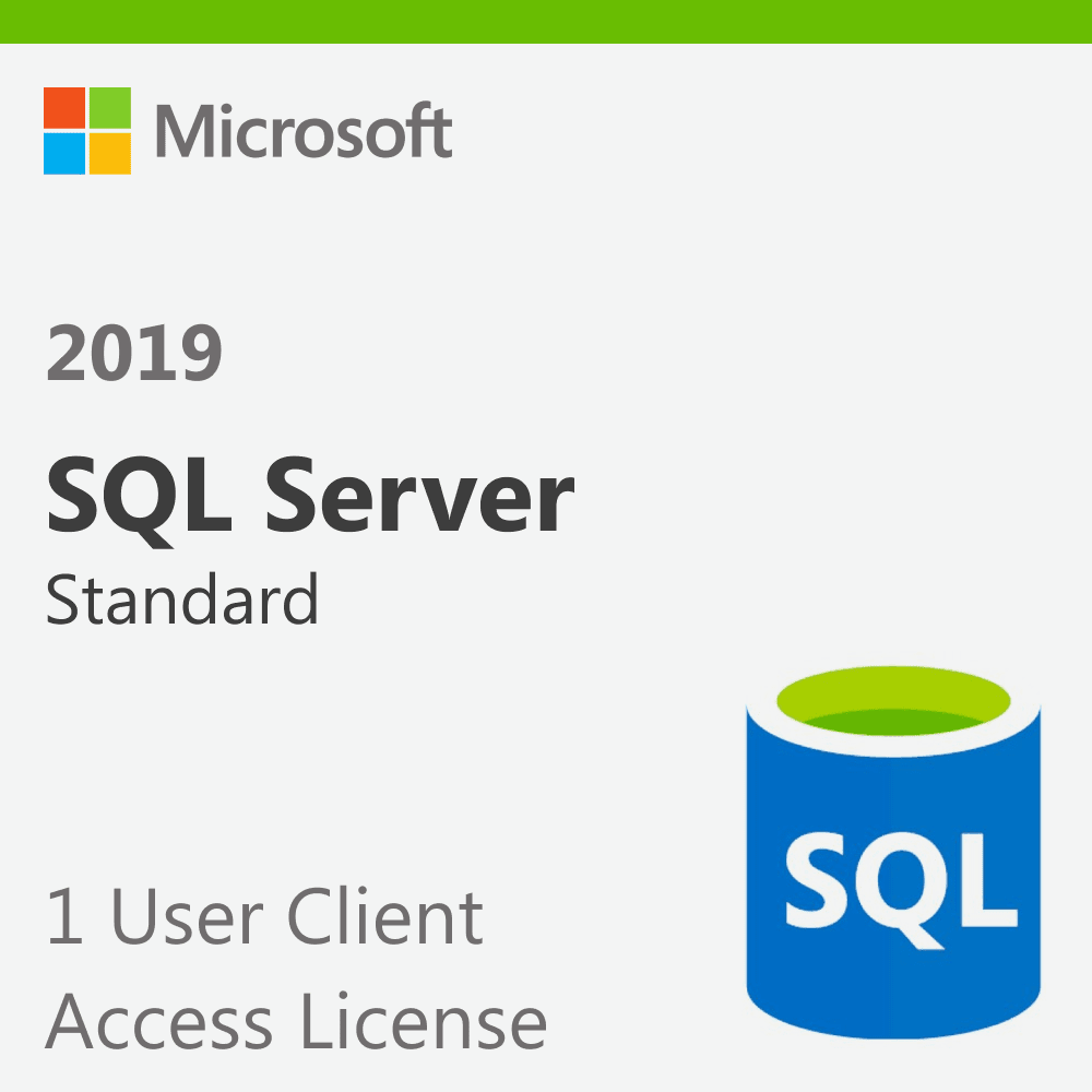 Microsoft SQL Server 2019 Standard - 1 User Client Access License ...