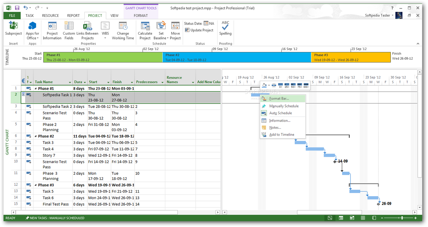 Microsoft Project 2013 Standard - Instant License