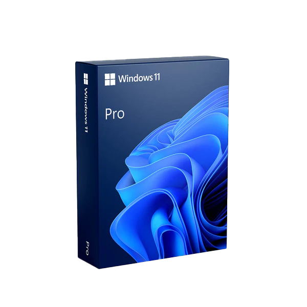Windows 11 Pro License