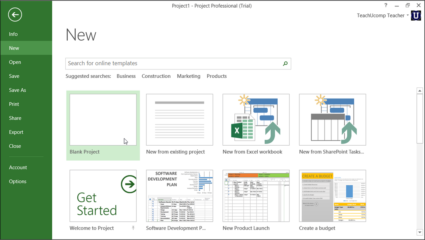Microsoft Project 2013 Standard - Instant License